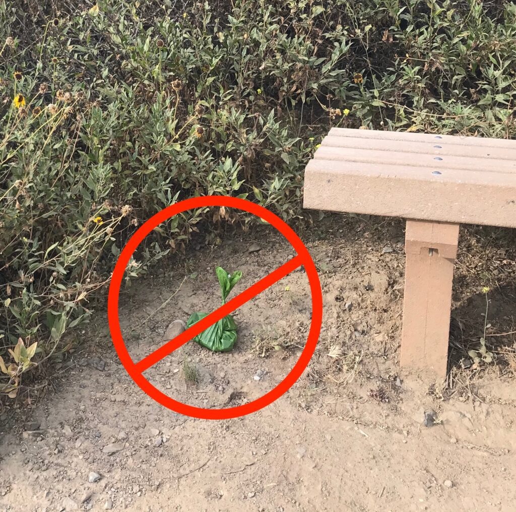 Dog poop on hiking trail