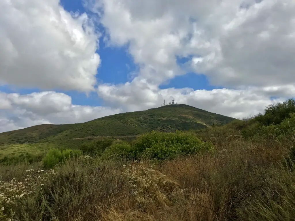 Black Mountain Summit from the road