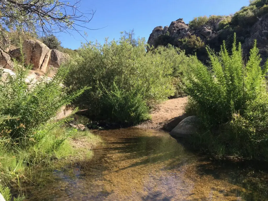Hiking Trails San Diego