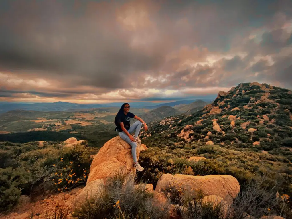 Picture of Iron Mountain Summit