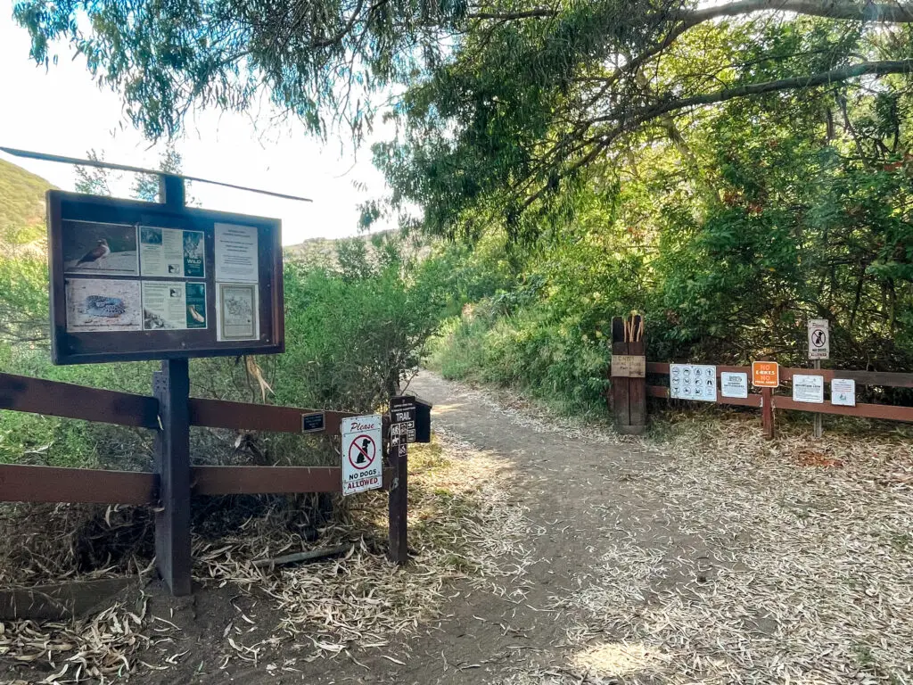 Copper Creek Falls Trailhead