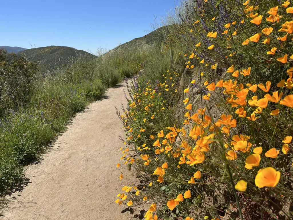 Hiking Cedar Creek Falls Trail