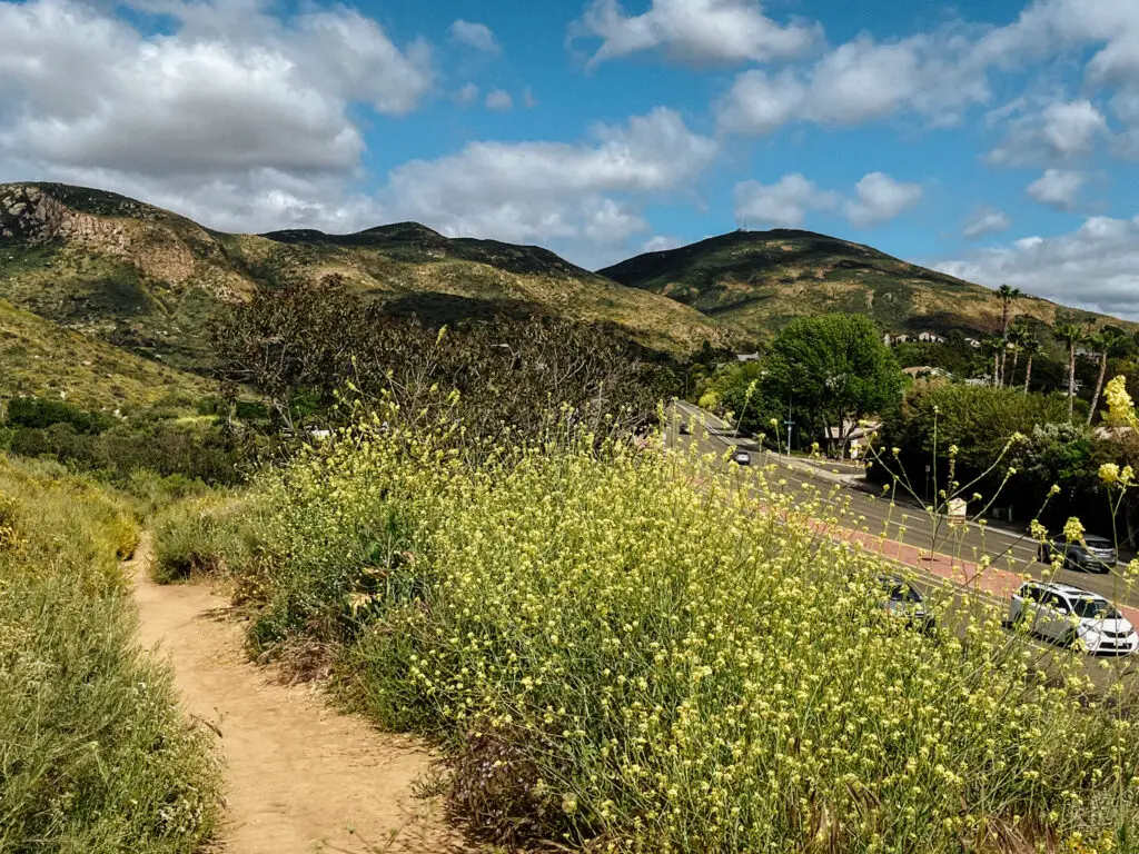 Hiking Path by Mission Gorge Rd