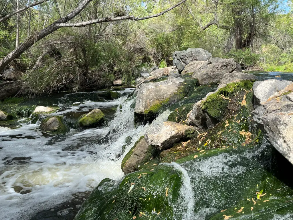 Mission Trails San Diego river crossing