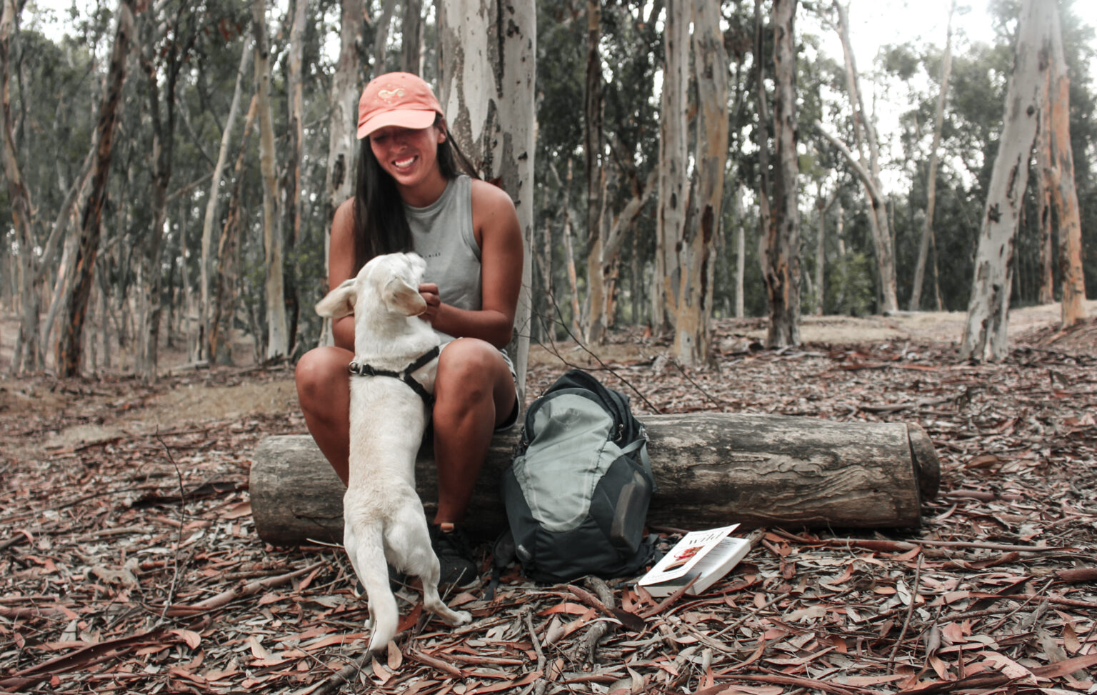 Dog Friendly Hikes in San Diego Go Hiking San Diego