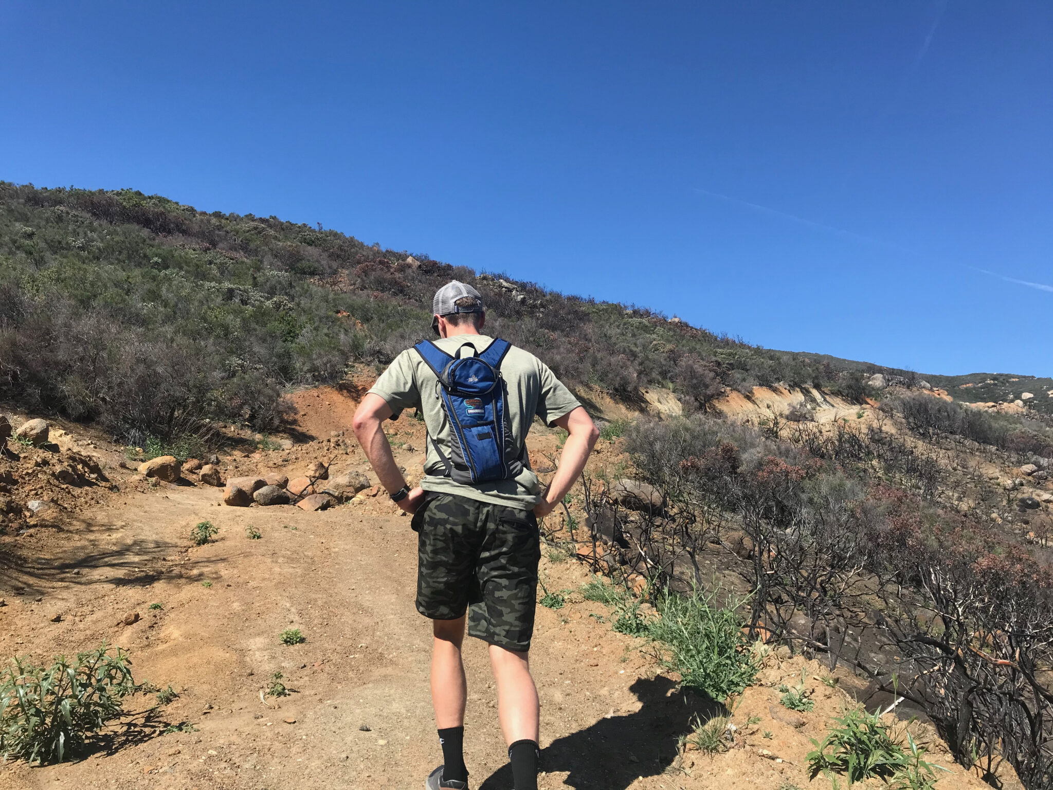 Lawson Peak Hike (2024 Guide) - Go Hiking San Diego