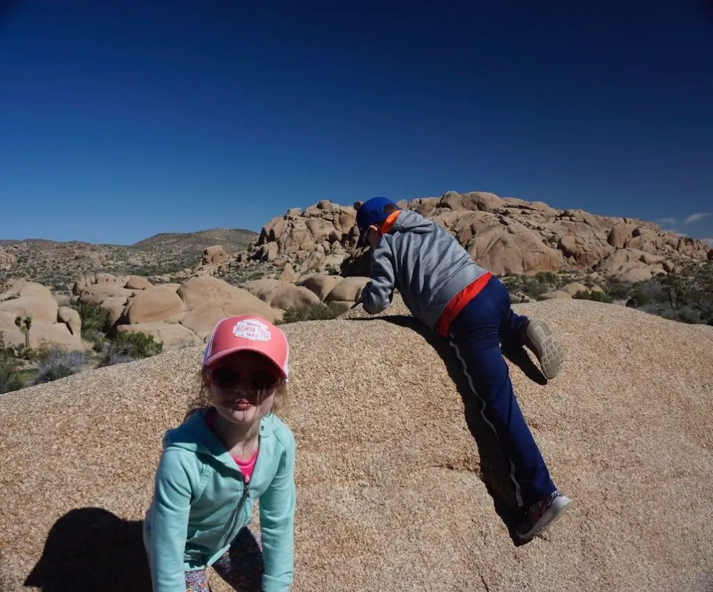 Kids hiking trail in Joshua Tree