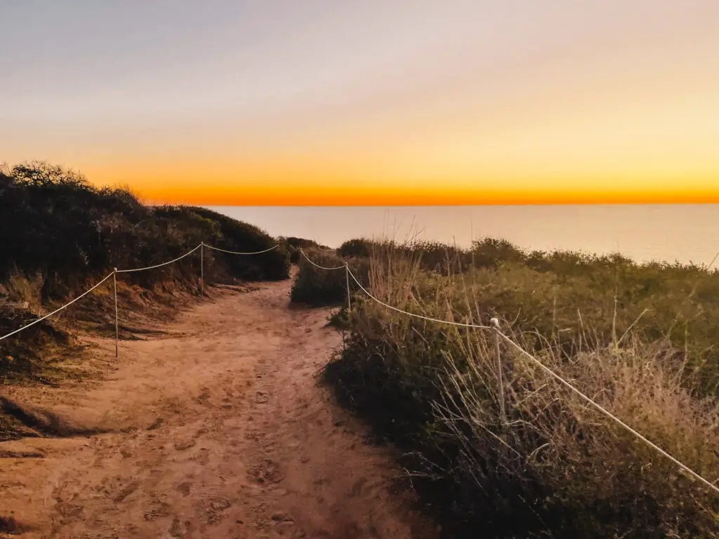 Torrey Pines hiking trail