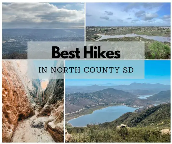 Best Hikes in North County San Diego