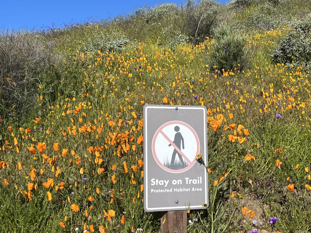 stay on the designated trail