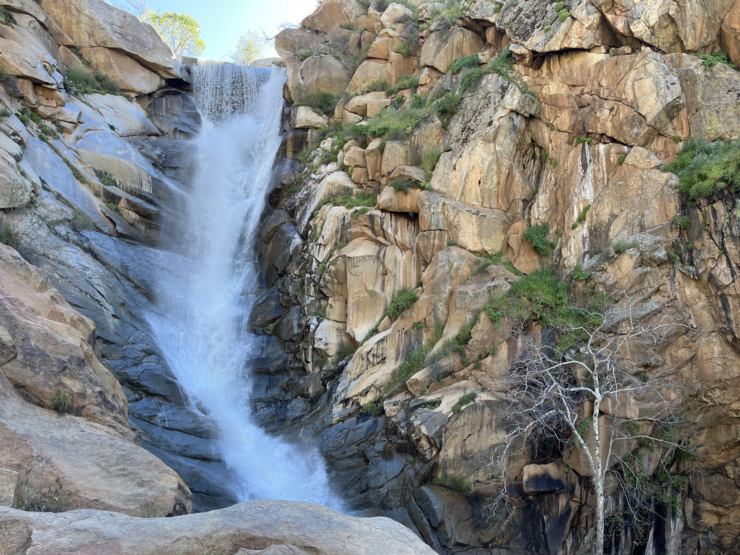 Cedar Creek Falls in San Diego