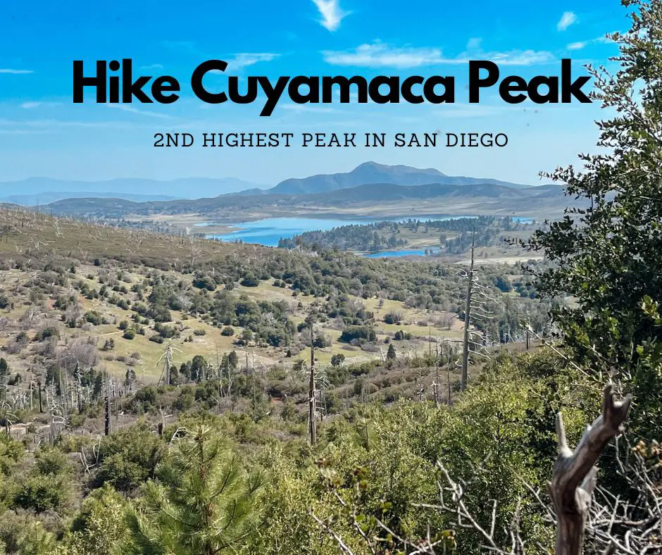 Summit Cuyamaca Peak Loop Trail