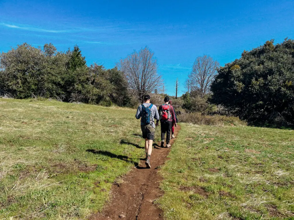 Cuyamaca Peak Loop Trail Conditions