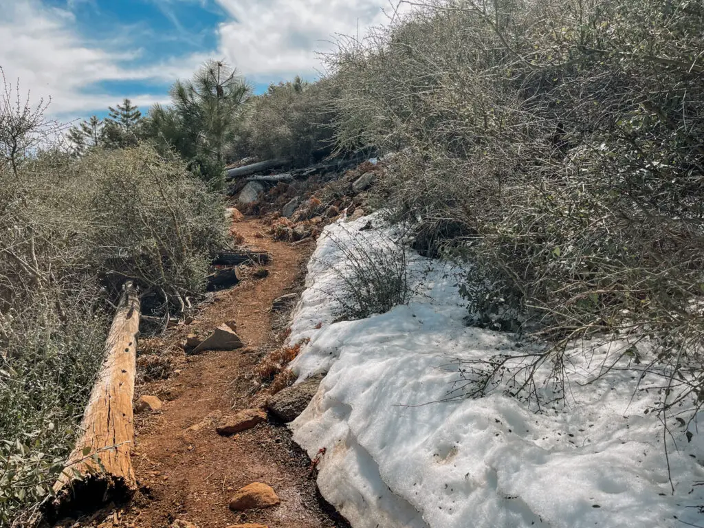 Trail conditions on cuyamaca peak loop trail