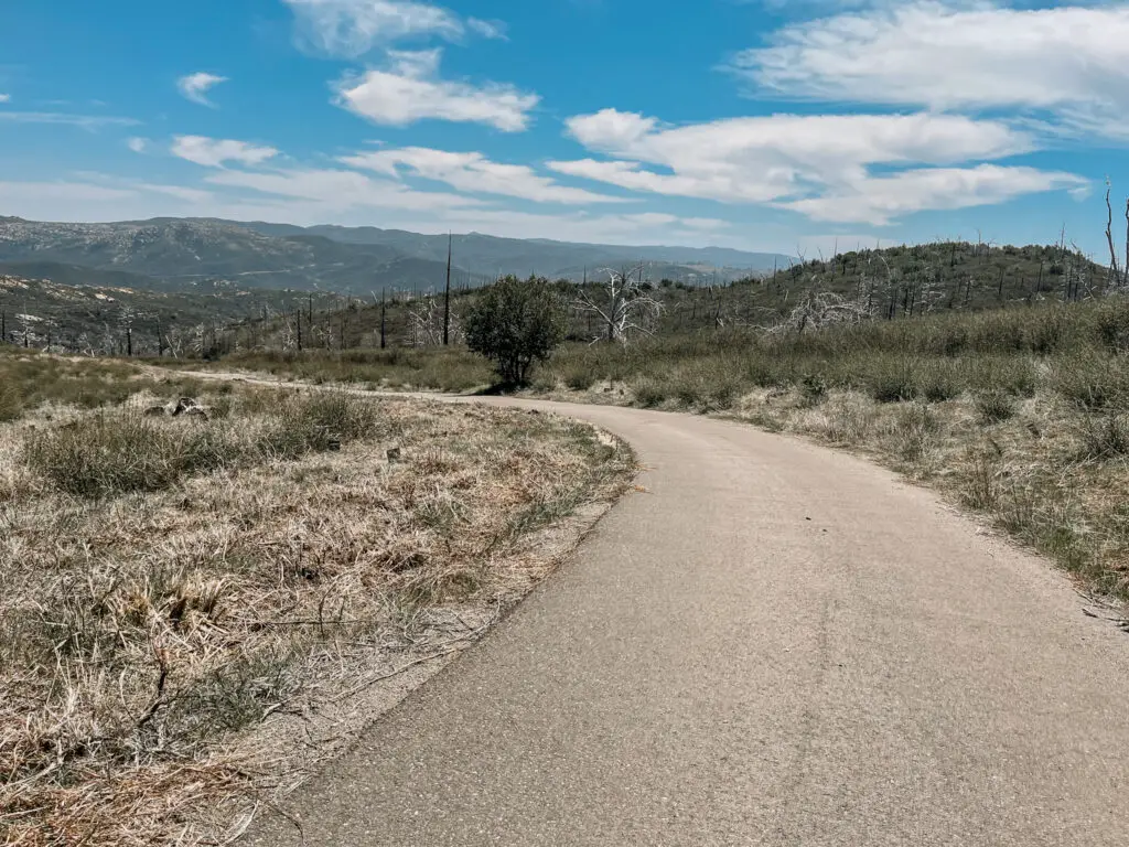 Hiking Cuyamaca Peak via Lookout Road