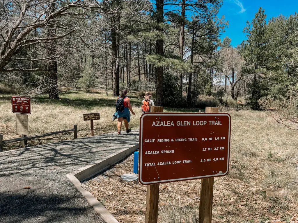 Cuyama Peak Trailhead