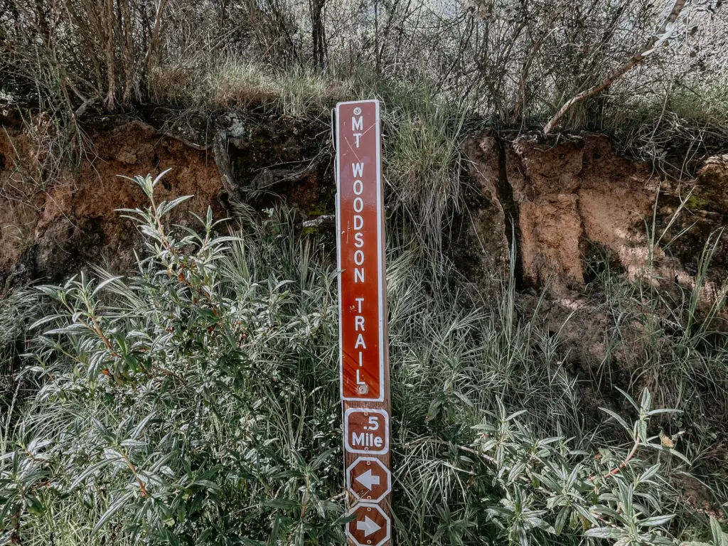 trail markers on potato chip rock hike