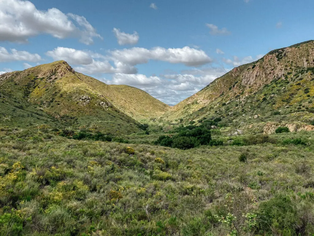 Mission Trails Visitor Center Loop Views