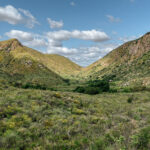 Mission Trails Visitor Center Loop Views