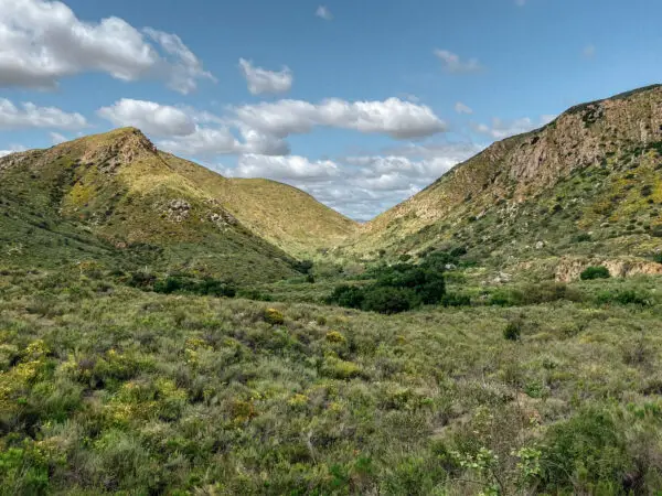 Hike Mission Trails Visitor Center Loop