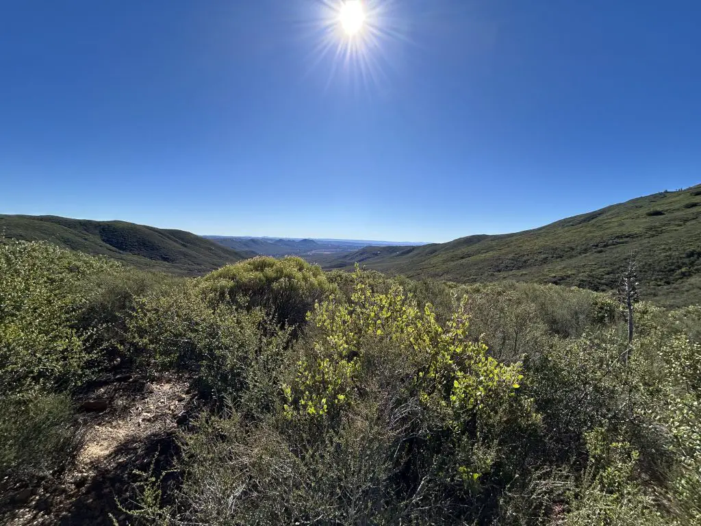 hiking corte madera mountain