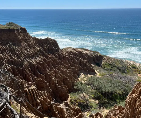 Your Complete Guide to Hiking Torrey Pines State Natural Reserve