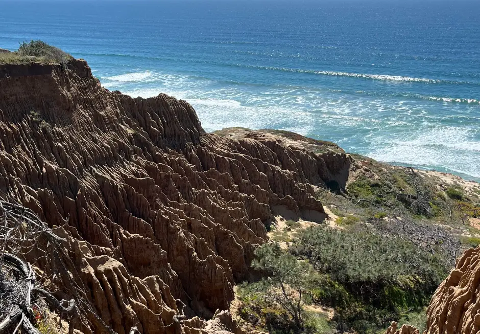 hiking torrey pines