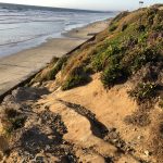 sea cliff coastal bluff trail
