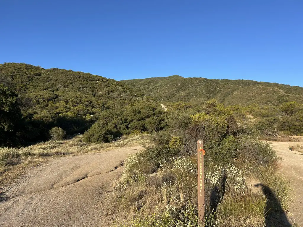 hiking palomar high point