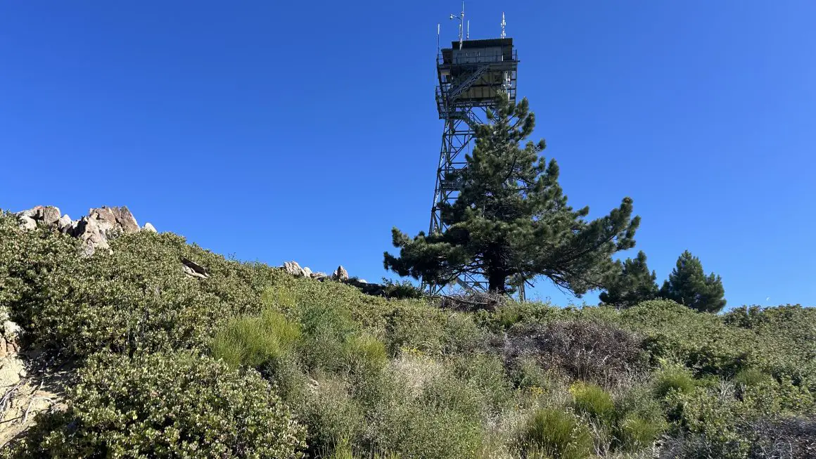 palomar high point