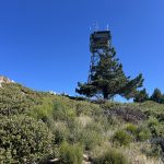 palomar high point