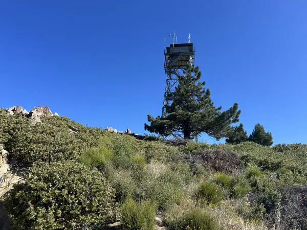 Palomar High Point Hiking Guide