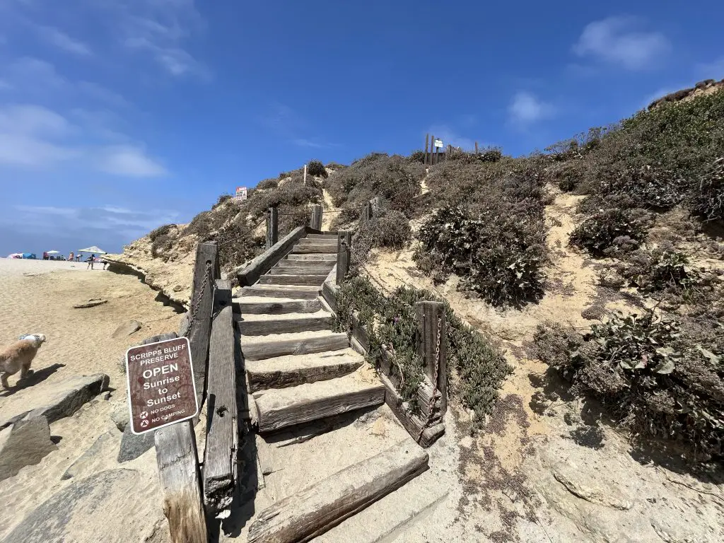 scripps bluff preserve trail