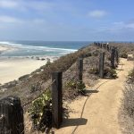 scripps bluff preserve trail