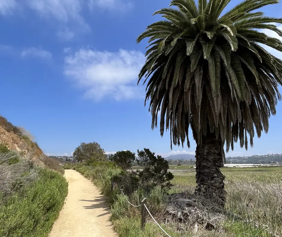 batiquitos lagoon trail