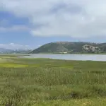 batiquitos lagoon trail