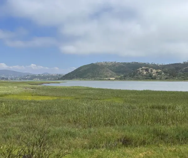 Batiquitos Lagoon Trail Guide