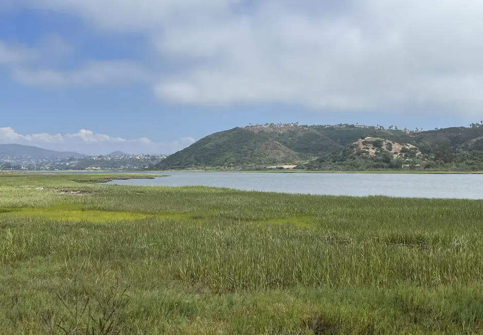 batiquitos lagoon trail