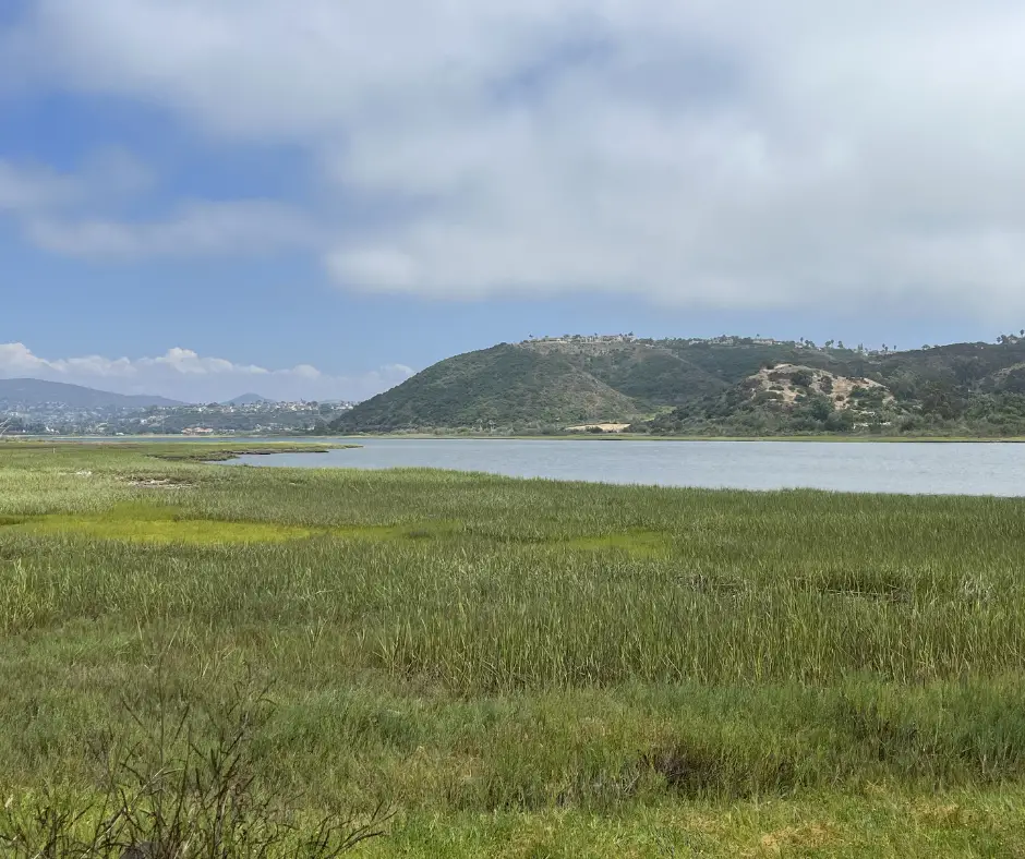 batiquitos lagoon trail