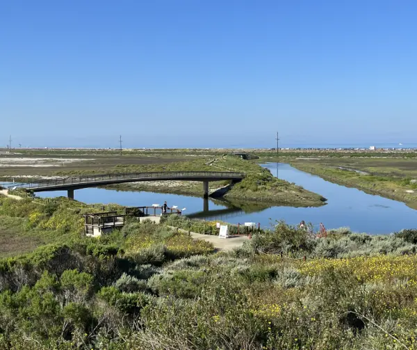 San Elijo Lagoon Trail Guide