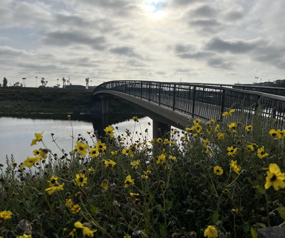 san elijo trail